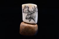 MOOSE SCRIMSHAW